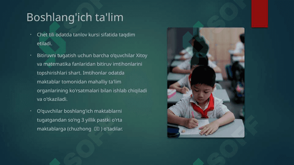 Xitoy ta'lim tizimi 7