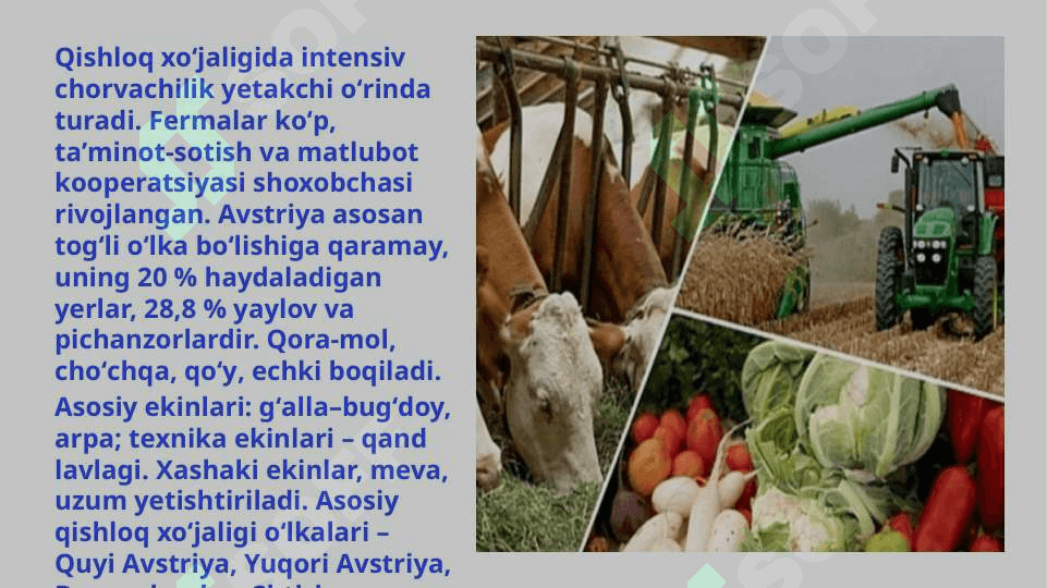 GʻARBIy Yevropa iqtisodiyoti 6