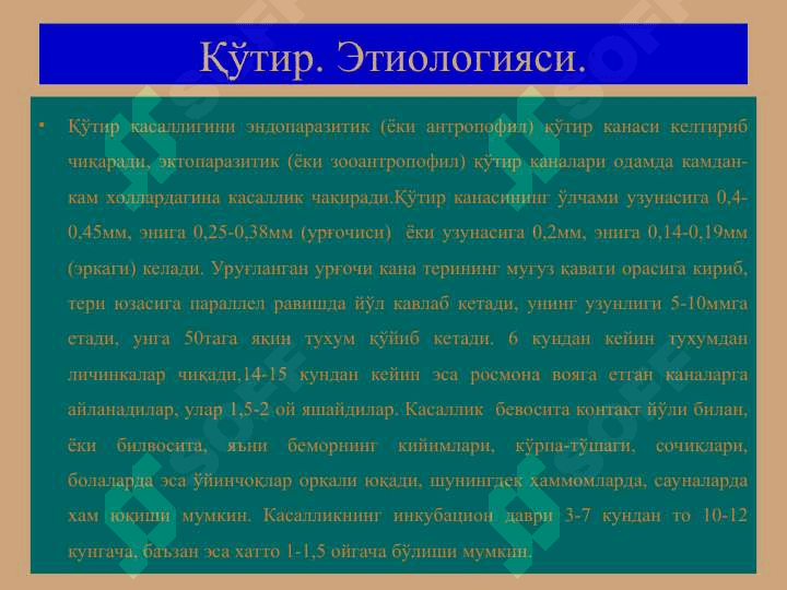 Терининг тузилиши, морфологик элементлари - Terining tuzilishi, morfologik elementlari 4