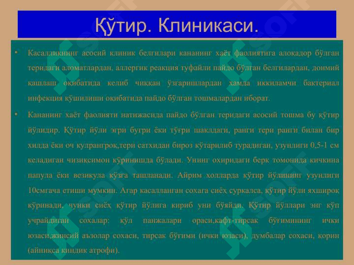 Терининг тузилиши, морфологик элементлари - Terining tuzilishi, morfologik elementlari 6