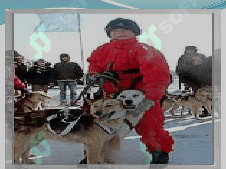 Туристларга махсус транспорт воситаларида хизмат кўрсатиш 5