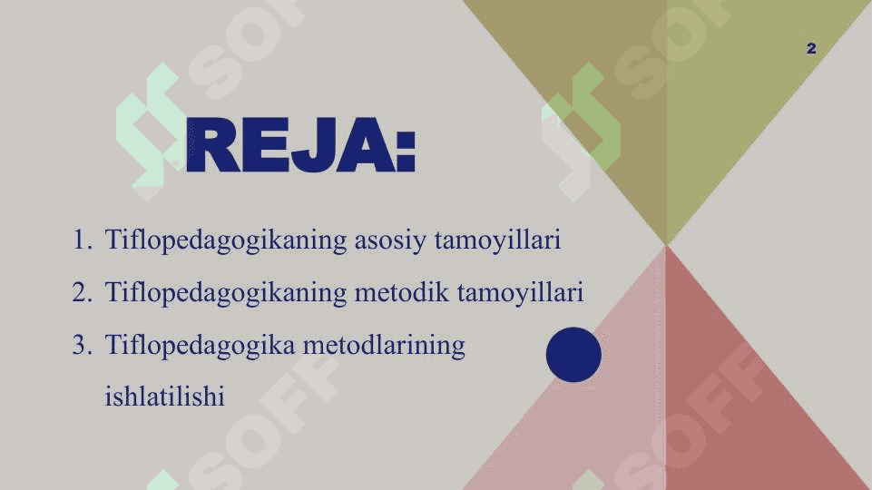 Tiflopedagogikaning tamoyillari 2