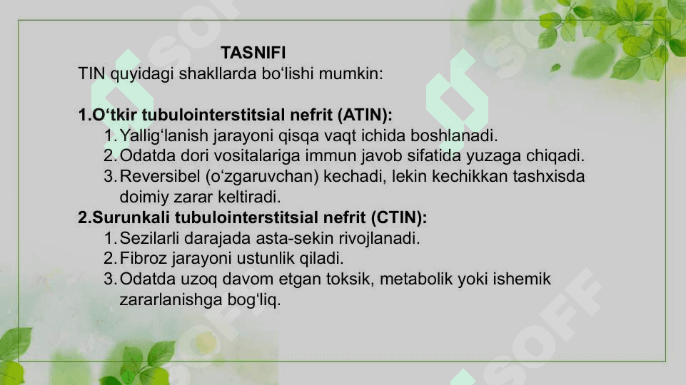 Tubulointerstitsial nefropatiyalar 6