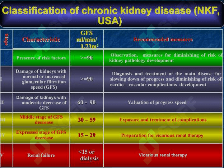Kidney disease 5