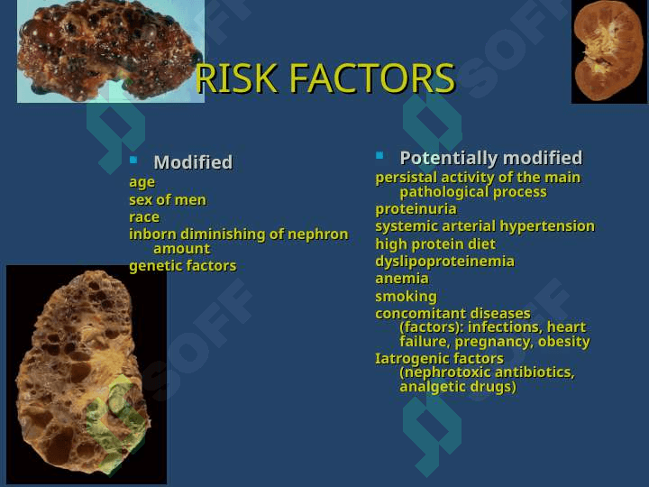 Kidney disease 6
