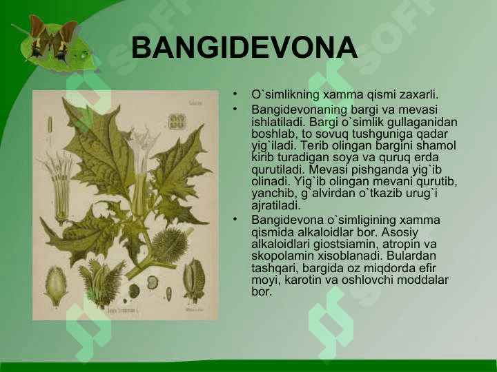 Zaharli organizimlar 5