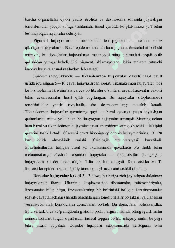 Teri va uning hosilalari 4