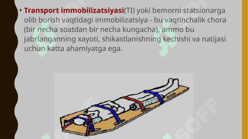Transport immobilizatsiyasi 2