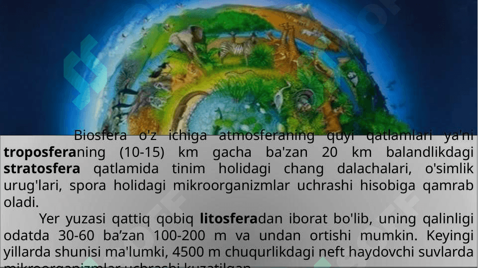 Biosferaning tarkibi  va barqarorligi 2