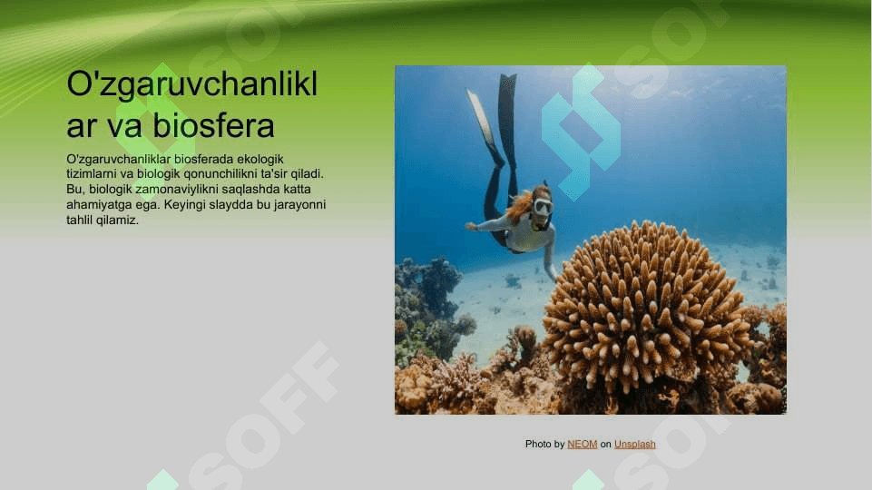 Biosfera chegaralari , tarkibi , funksiyalari , biomassasi 7