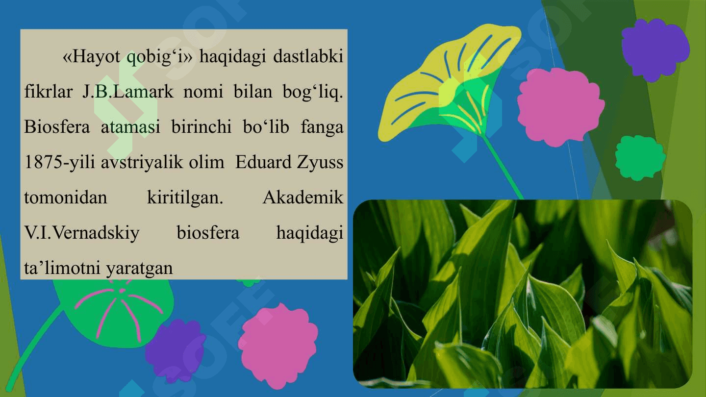 BIOSFERA HAQIDA TA’LIMOT 3