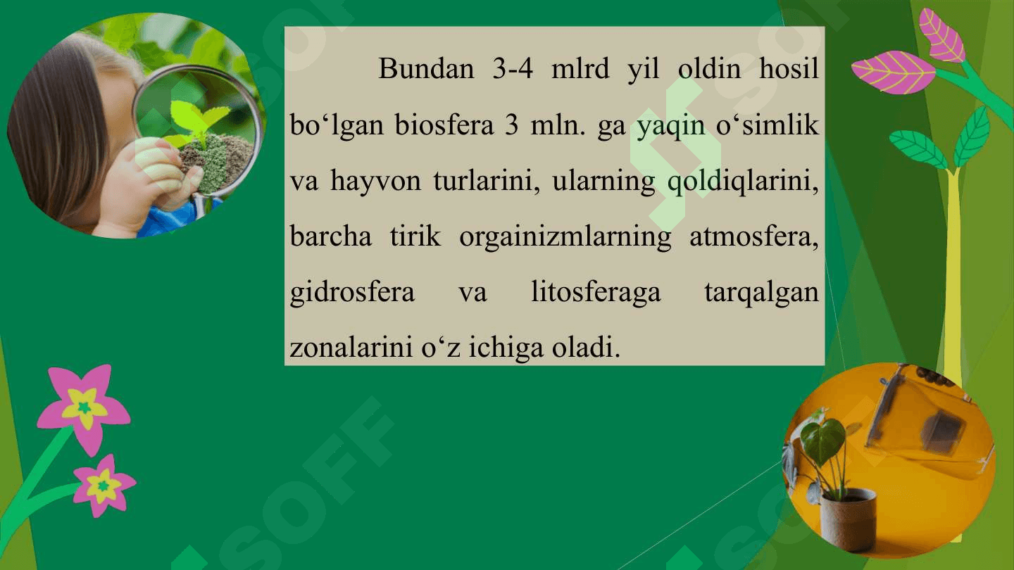 BIOSFERA HAQIDA TA’LIMOT 4