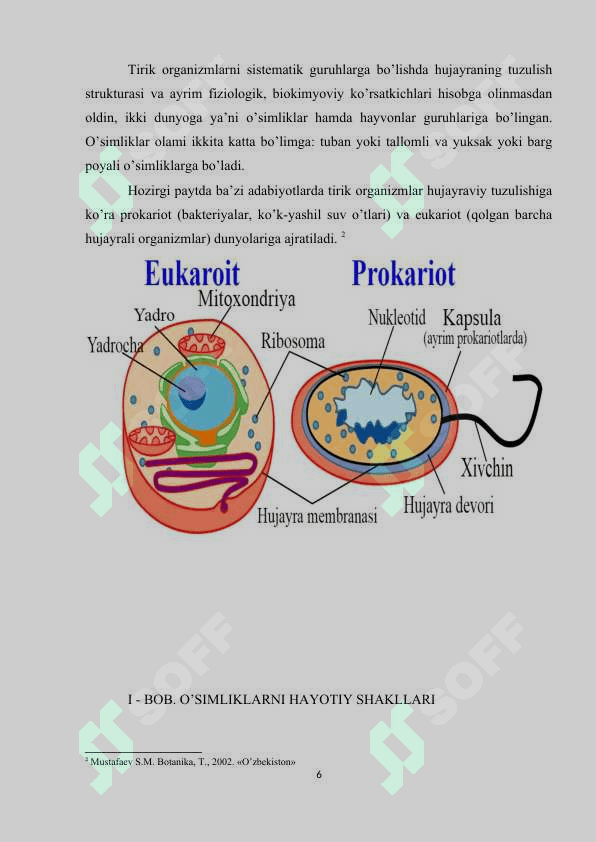 O’simliklarni hayotiy shakllari 6