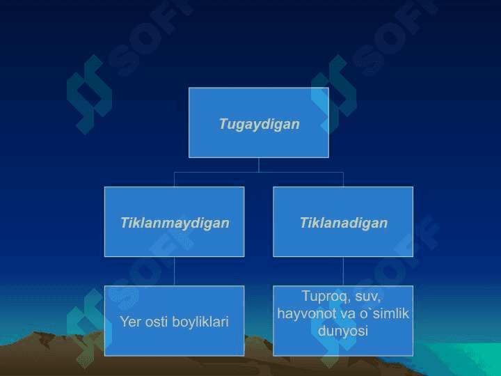 Tabiiy resurslar tasnifi 4