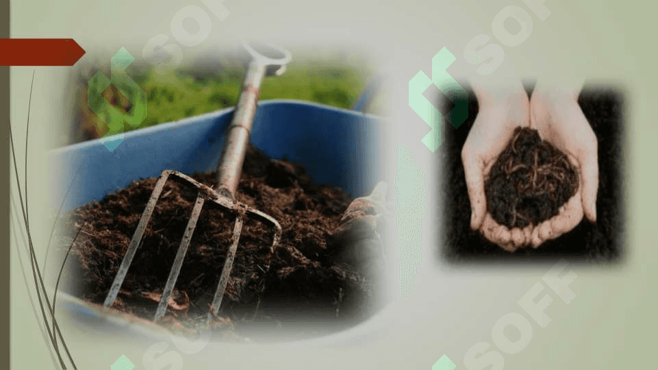 Turli omillarning mineral va mahalliy o‘g‘itlar samaradorligiga ta’siri 2