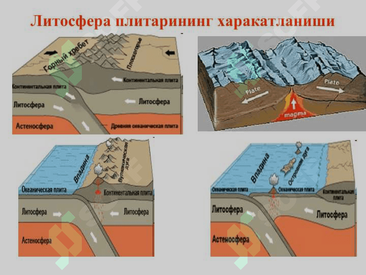 Литосфернинг экологик функцияси 4