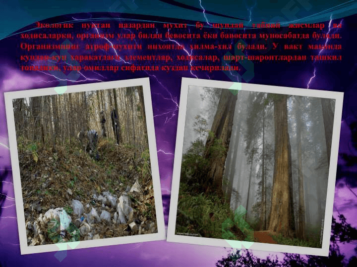 Мухит ва экологик омиллар 4