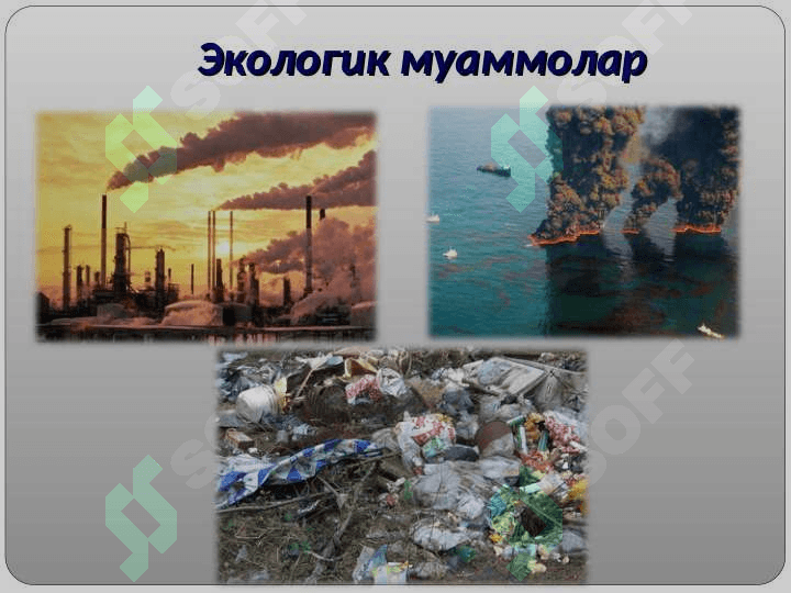 Ҳозирги замон глобал экологик муаммолари 4