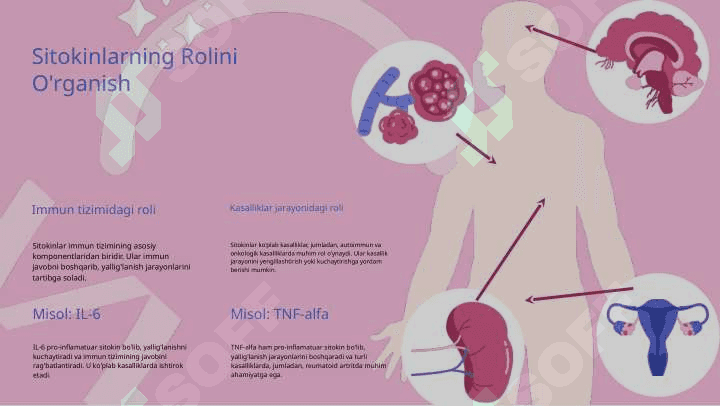 Sitokinlar tasnifi 5