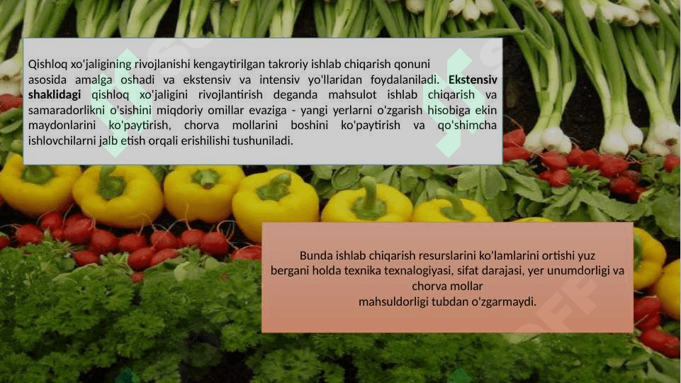QISHLOQ XO’JALIGINI INTENSIVLASHTIRISH 2