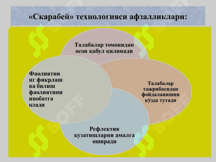 “СКАРАБЕЙ” технологияси 4