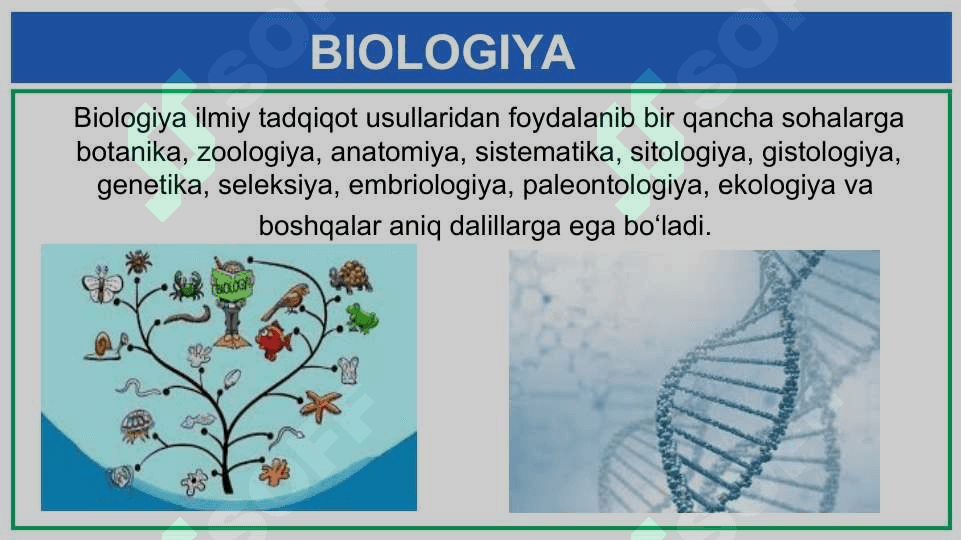 BIOLOGIYANI 3