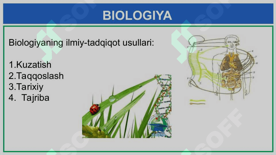 BIOLOGIYANI 7
