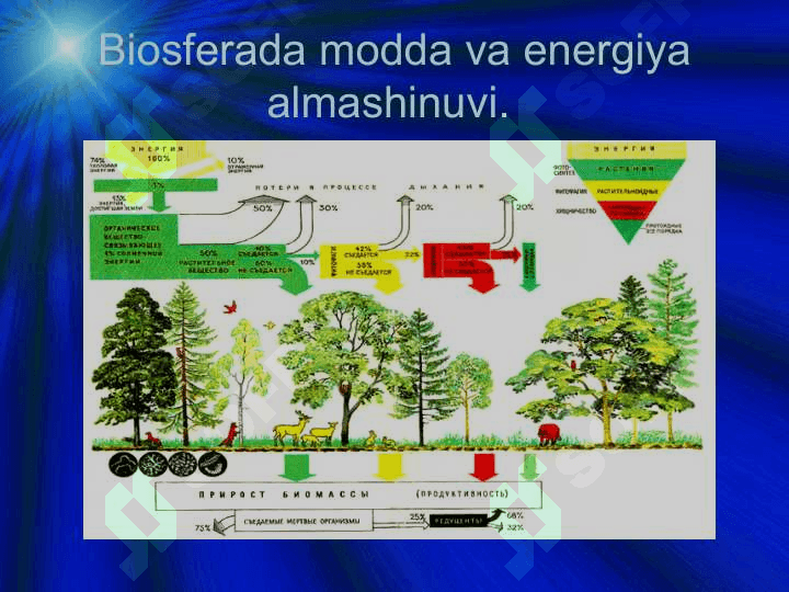 Biosferada modda almashinuvi. 6