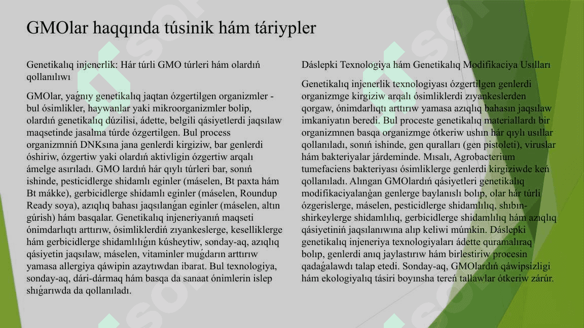 GMO 3