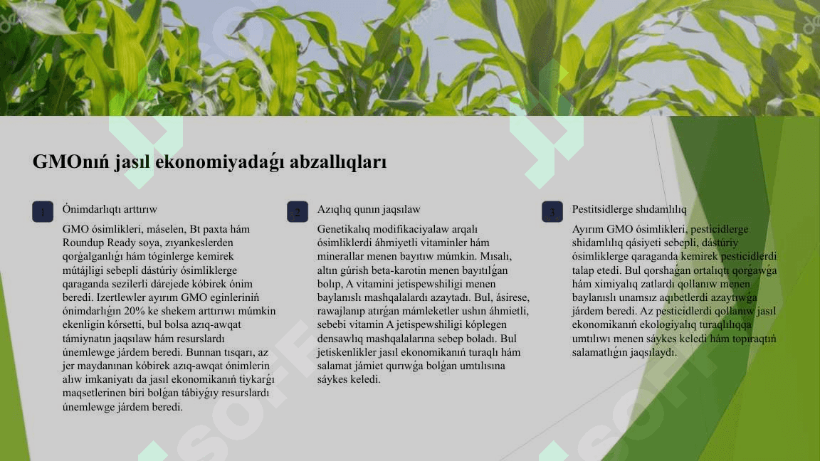 GMO 4