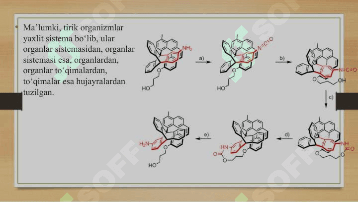 Hayotning molekula darajasi 2