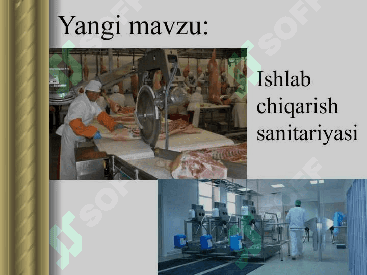 Mehnatni muhofaza qilishning umumiy masalalari 5