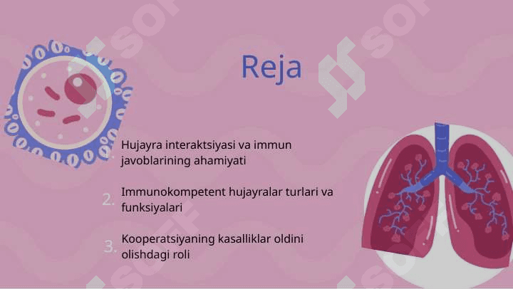 Immunokompetent hujayralarning kooperatsiyasi 2