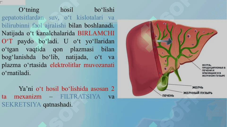 TOKSIK MODDALARNI JIGARDA ZARARSIZLANTIRILISHI 5