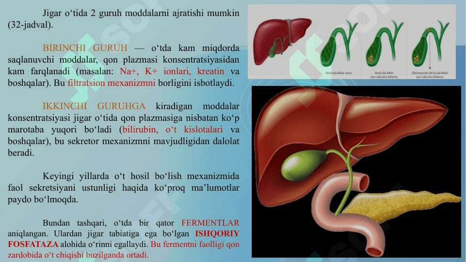 TOKSIK MODDALARNI JIGARDA ZARARSIZLANTIRILISHI 6