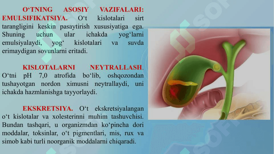 TOKSIK MODDALARNI JIGARDA ZARARSIZLANTIRILISHI 8