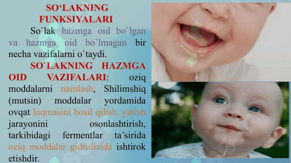 OSHQOZON-ICHAK BIOKIMYOSI 2