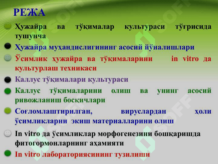 УЖАЙРА ВА ТЎҚИМАЛАР КУЛЬТУРАСИ МУҲАНДИСЛИГИ 2