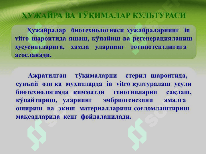 УЖАЙРА ВА ТЎҚИМАЛАР КУЛЬТУРАСИ МУҲАНДИСЛИГИ 4