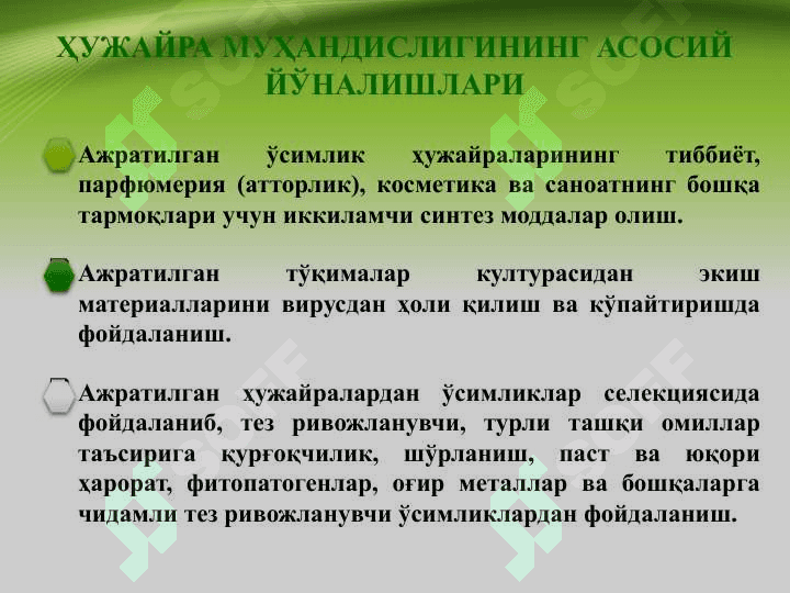 УЖАЙРА ВА ТЎҚИМАЛАР КУЛЬТУРАСИ МУҲАНДИСЛИГИ 5