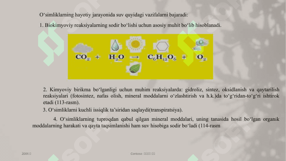 O‘SIMLIKLARDA SUV ALMASHINUVI Jarayoni 7