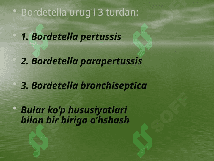 Ko’k yo’tal Qo’zg’atuvchisi tashhis qo’yish usullari 6
