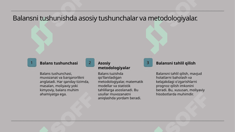Balans tuzishning asosiy tamoyillari.pptx 4