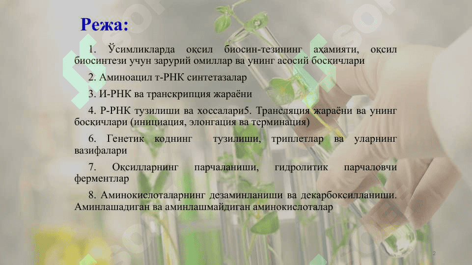 Оқсиллар синтези ва парчаланиши 2