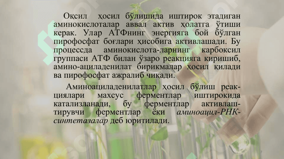 Оқсиллар синтези ва парчаланиши 7