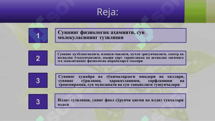 ЎСИМЛИКЛАРДА СУВ АЛМАШИНУВИЎСИМЛИКЛАРДА СУВ АЛМАШИНУВИ 2