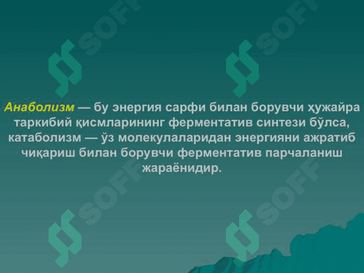 Энергия ва моддалар алмашинуви 3
