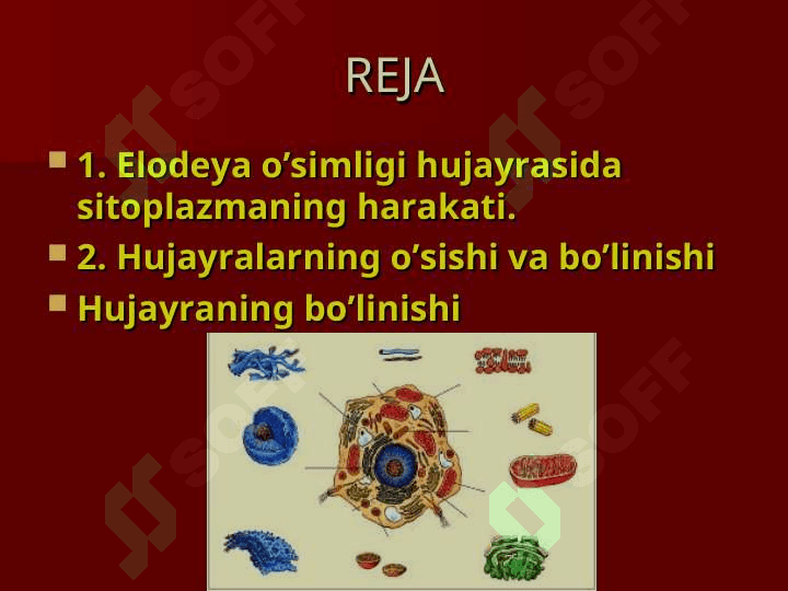 HUJAYRALARNING HAYOTIY FAOLIYATI 2