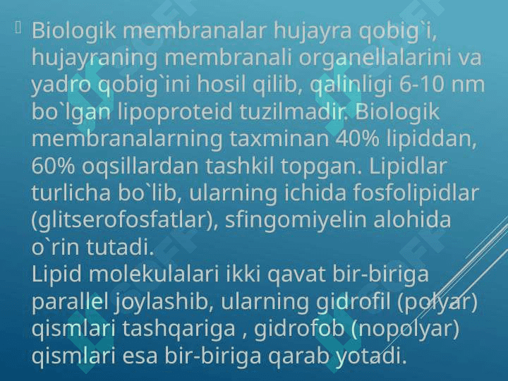 Membranalarning umumiy tuzilmalari 5