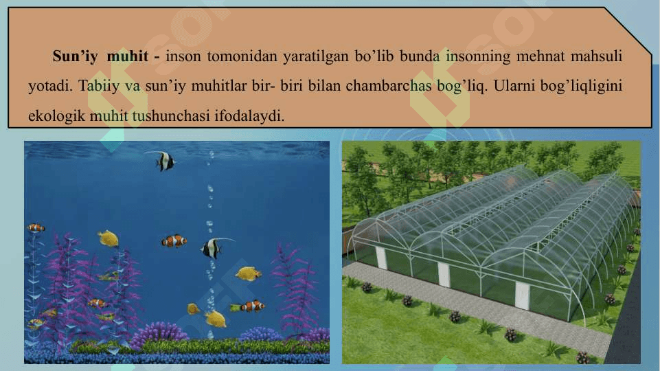 Mikroorganizmlarga ekologik omillarning ta’siri 6